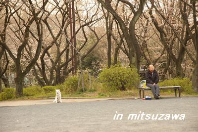 三ツ沢公園老人と犬.jpg