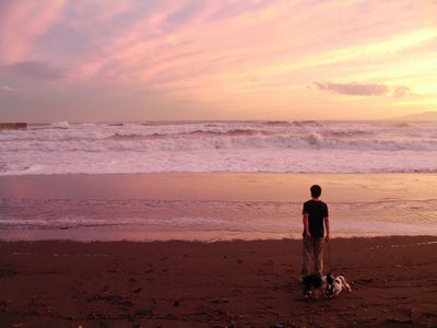 海と犬２.jpg